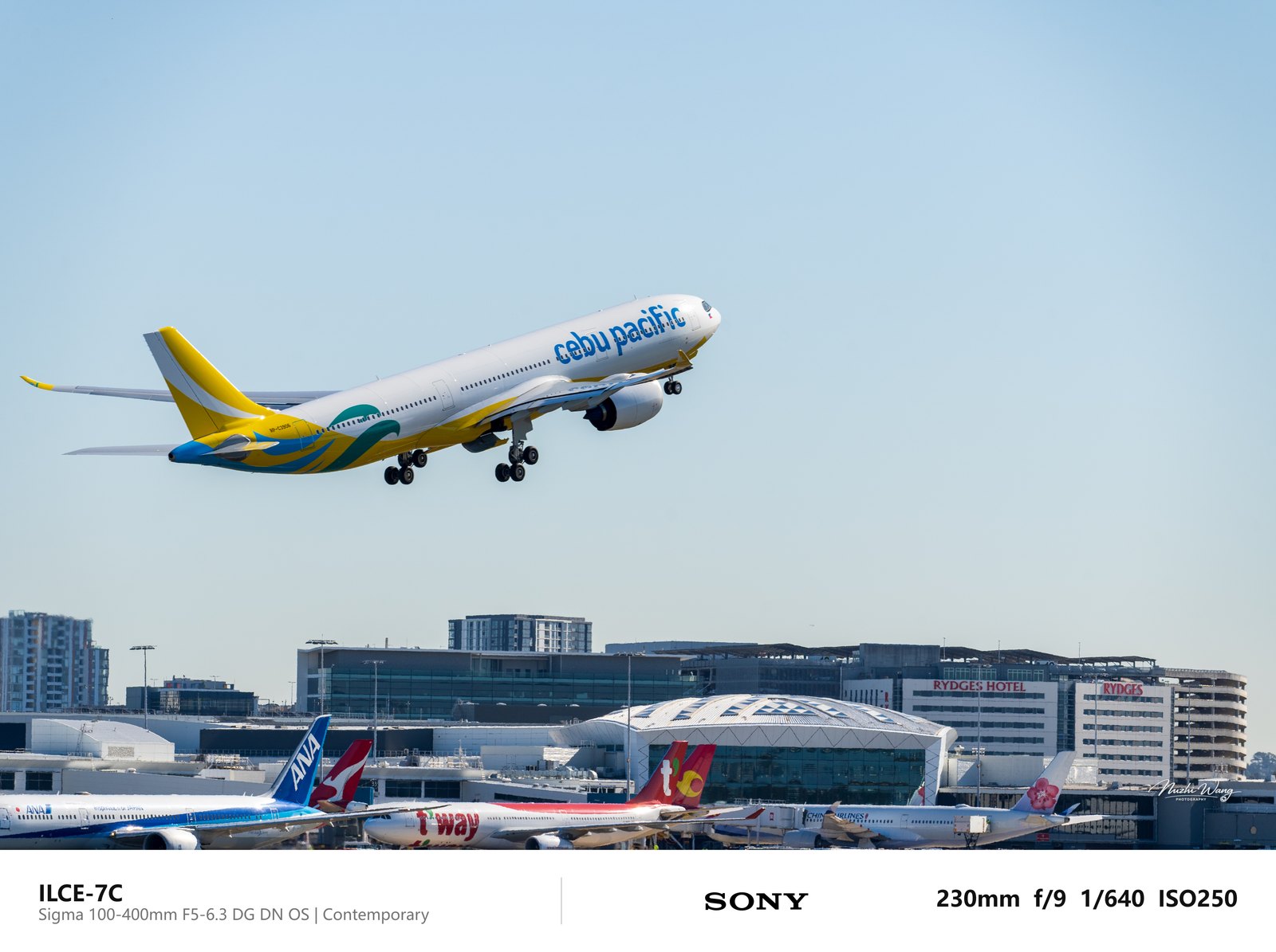宿务太平洋 A330